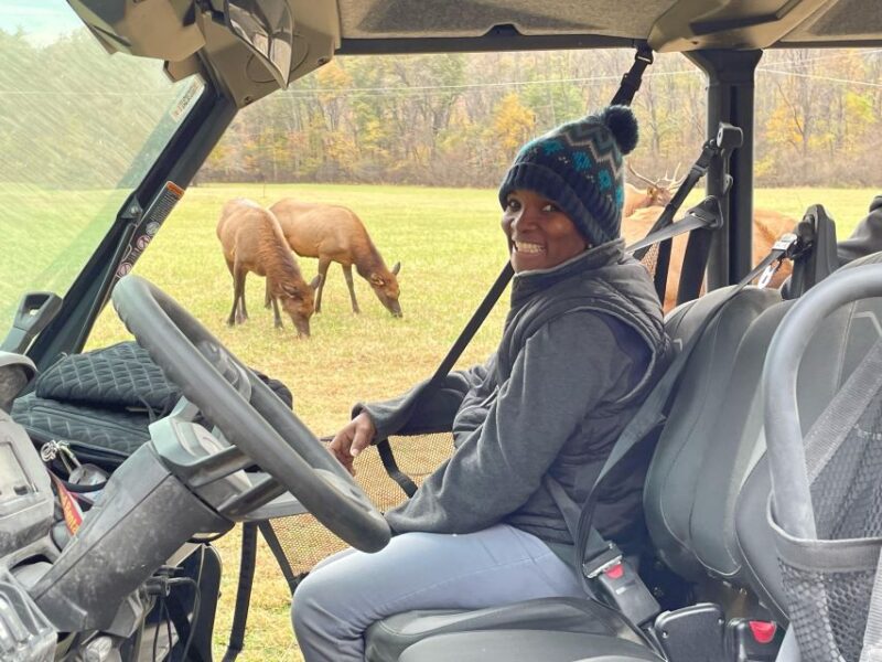 (4 HR) GUIDED Smoky Mountain UTV Eco Elk Adventure - Journey Highlights