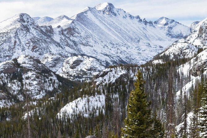 4 Hr Private Wildlife Hiking Tour in Rocky Mountain National Park - Positive Traveler Experiences