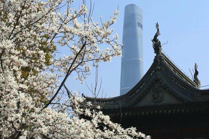 4-Hr Shanghai Layover Tour: Maglev, Wet Market, Food, Landmarks - An In-Depth Look at the 4-Hour Shanghai Tour