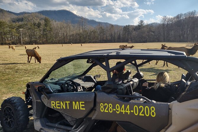 (4 HR) UTV Sunset, Eco Elk Wilderness Adventure - Meeting and Pickup Location