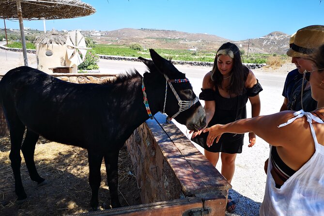 4 Hrs Island Tour and Photos, Oia and Blue Domes, Red Beach - Transportation and Meeting Details