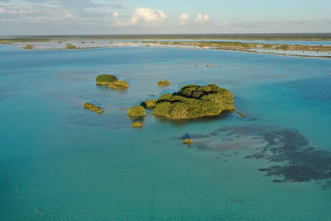 4 Hrs Private Catamaran With Drinks Included - Accessibility and Participation