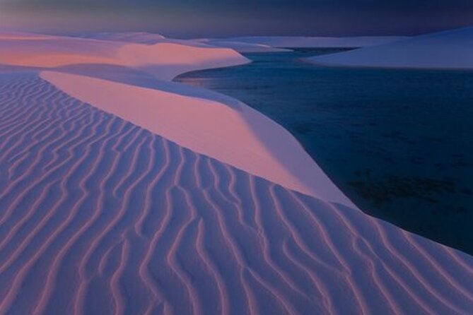 4 Hrs Safari Dune Bashing, Camel Ride,Inland Sea, Pickup Service. - Camel Interaction