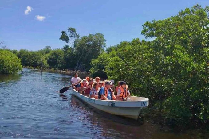 4-in-1 Tour - Mazunte, Cacao Factory & Turtle Spawn/Release - Lunch and Boat Ride in La Ventanilla