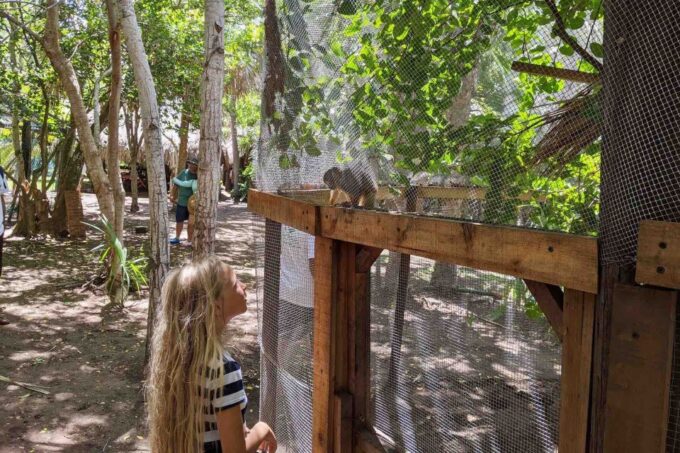 4-in-1 Tour - Mazunte, Cacao Factory & Turtle Spawn/Release - Wildlife and Environment