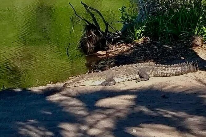 4-in-1 Tour - Mazunte,Cacao Factory, La Ventanilla & Turtle Spawn - La Ventanilla National Park