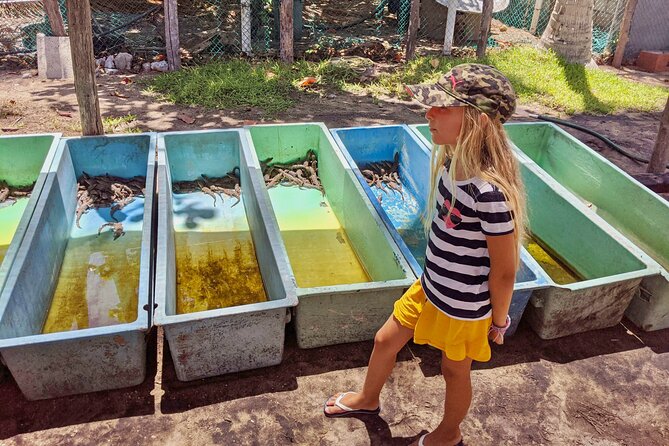 4-in-1 Tour - Mazunte,Cacao Factory, La Ventanilla & Turtle Spawn - Turtle Hatching Experience