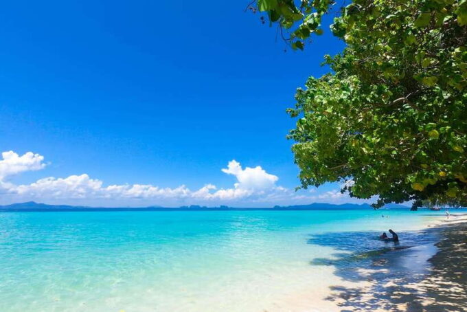 4-Island Tour From Koh Lanta to Koh Kradan With Beach Lunch - Snorkeling and Marine Life