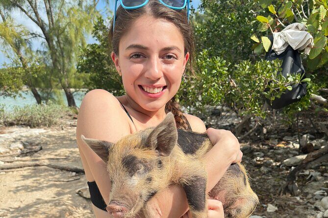 4-Island Tour Swimming Pigs, turtles, snorkeling , rose island, - The Itinerary in Detail: What to Expect