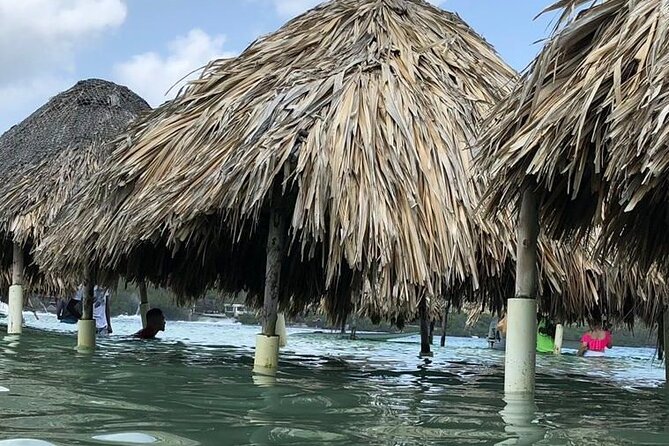 4 Islands - Schedule and Accessibility