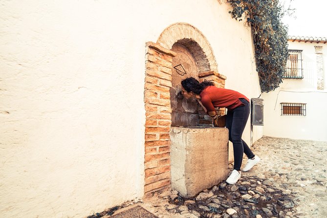 4 Neighborhoods 4 Cultures. Half Day Private Tour in Granada - Customizable Experience