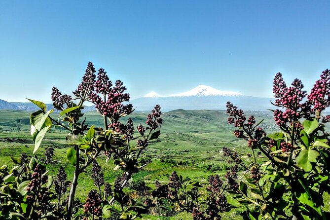 4 Nights 5 Days in Armenia Start From Yerevan - Tour Guide and Entrance Fees