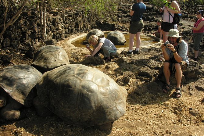 4- or 5-Day Galapagos Islands Explorer Package From Santa Cruz Island - Reviews and Additional Information