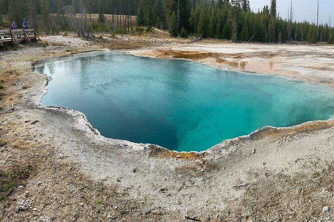 4 Person Full-Day PRIVATE Yellowstone Tour in a Raised Roof Van- Picnic Lunch - Personalized Experience