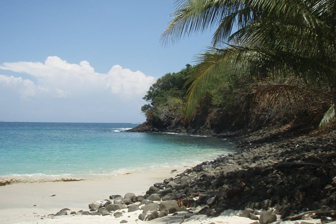 (4 Person Minimum to Book) Whale Watching (July 15 to Oct.15) in Isla Bolanos - Seasonal Availability