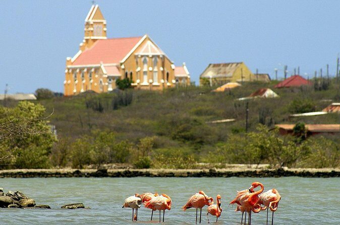 4 to 5 Hour Private SUV Trip - Final Thoughts: Is This Tour for You?