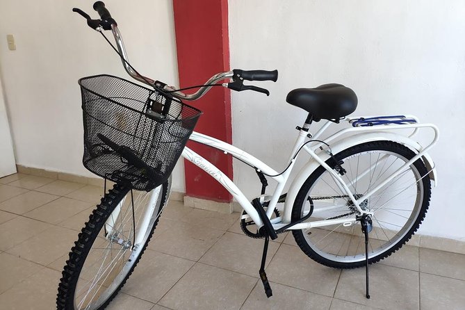 4 to 7 Day Beach Cruiser Rental (Up to 7 Days, Includes Ulock) - Pickup and Meeting Point