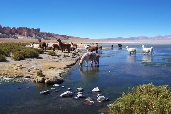 4 Tours to Discover Atacama (3 Days) - Booking and Cancellation Policy