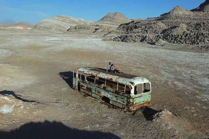 4 Unmissable Tour in the Desert - The Desert Landscape