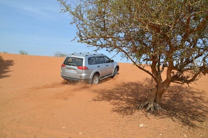 4 WD Agadir Small Desert Discovery Including Lunch - Contact Us