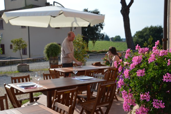 4 WINES TASTING in a Chianti Classico Farm (Visit/Tour at the Winery Included) - Winemaking History and Process