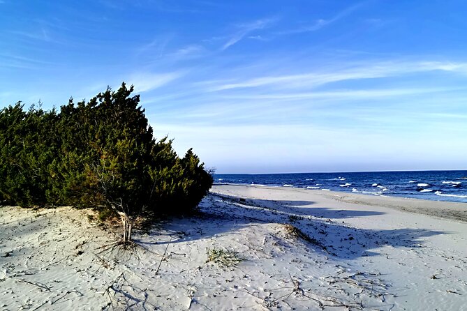 4 × 4 Excursion to the Beaches of Biderosa and Capo Comino - Additional Information