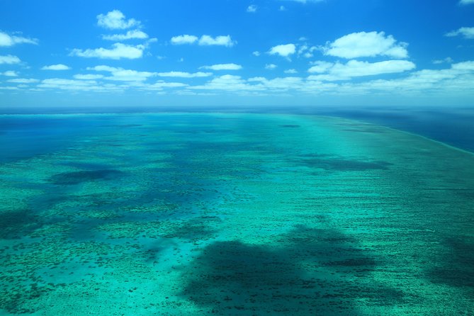 40-Minute Great Barrier Reef Scenic Flight From Cairns - Meeting Point and Check-in