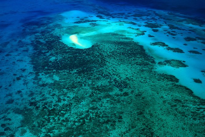40-Minute Great Barrier Reef Scenic Flight From Cairns - Weight Restrictions and Requirements
