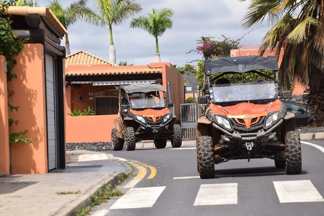 40% Off-Road Buggy Tour in Tenerife - 2 Hours - Booking Details