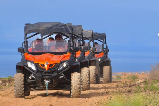 40% Off-Road Buggy Tour in Tenerife - 2 Hours - Accessibility Information