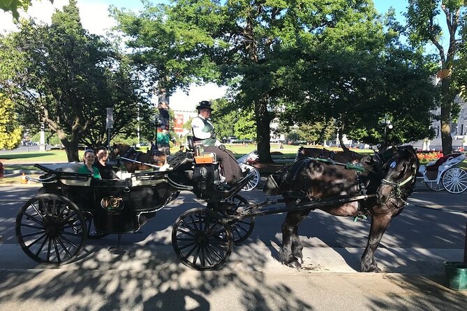 45-Minute By The Park Tour - Additional Information