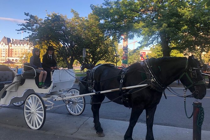 45-Minute By The Park Tour - Tour Details