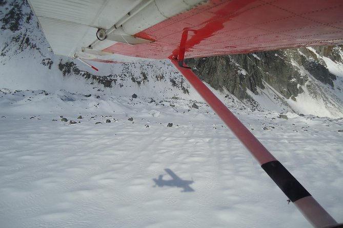 45-Minute Glacier Highlights Ski Plane Tour From Mount Cook - Accessibility and Capacity