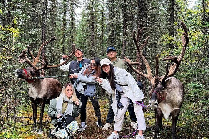 45 Minute Private Reindeer Tour - An In-Depth Look at the Reindeer Tour Experience