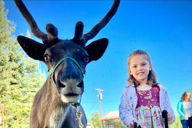 45 Minute Private Reindeer Tour - Who Should Consider This Tour?