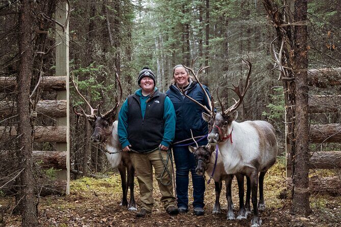 45 Minute Private Reindeer Tour - FAQ