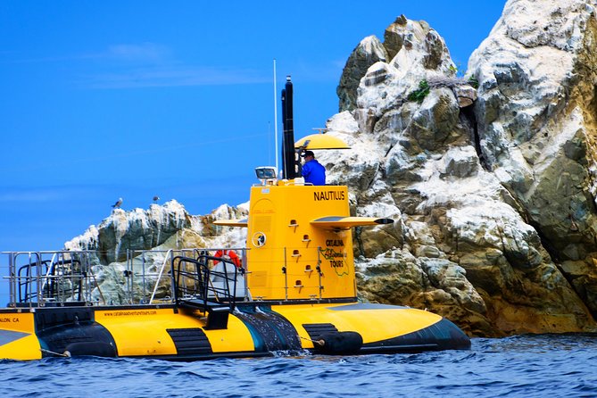 45 Minute Semi-Submarine Tour of Catalina Island From Avalon - Key Points