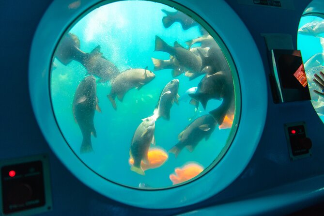 45 Minute Semi-Submarine Tour of Catalina Island From Avalon - Whats Included in the Tour