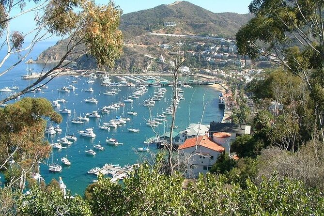 45 Minute Semi-Submarine Tour of Catalina Island From Avalon - Boarding the SS Nautilus