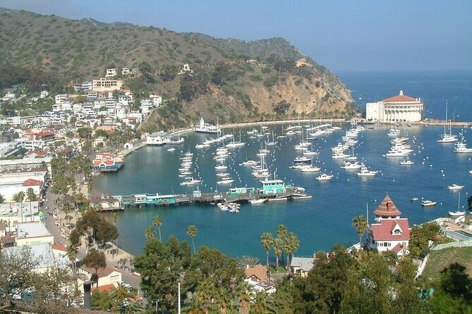 45 Minute Semi-Submarine Tour of Catalina Island From Avalon - Exploring Lovers Cove Underwater