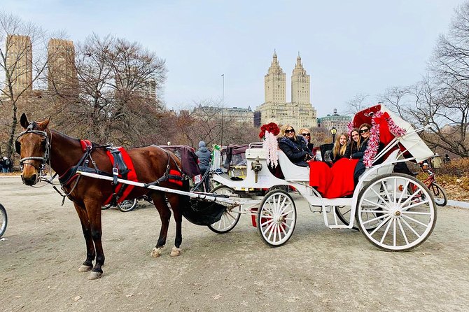 45 Minute VIP Central Park Carriage Ride - Booking Information