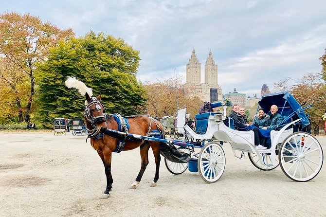 45 Minute VIP Central Park Carriage Ride - Exploring Central Parks Landmarks