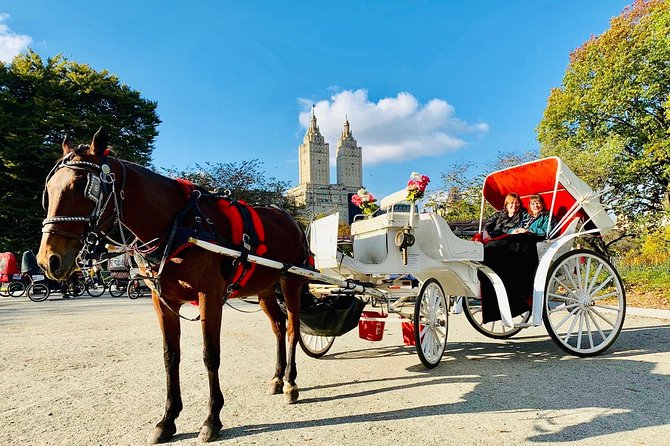 45 Minute VIP Central Park Carriage Ride - Carriage Tour Provided by Central Park Carriage Tours