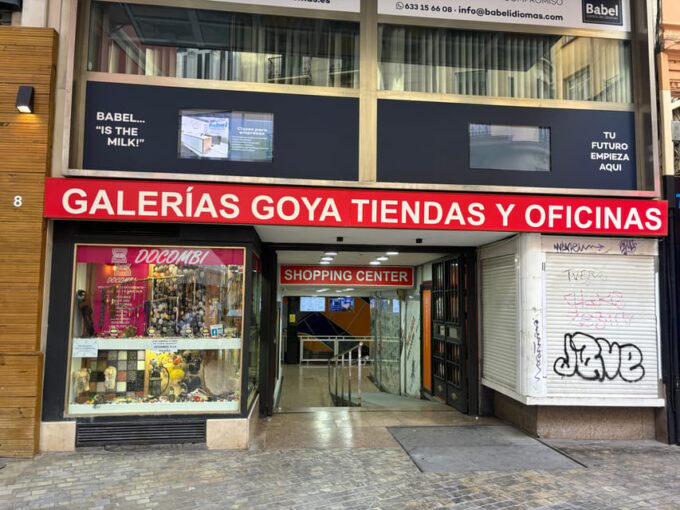 45 Minutes Flamenco Dance Class for Family in Málaga - Logistics