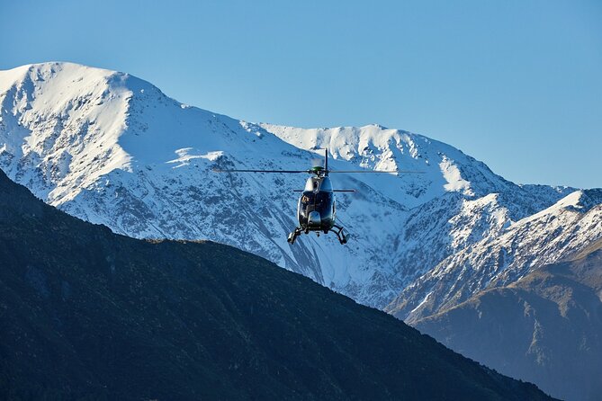 45 Minutes Whale Watching Ocean Safari Helicopter Tour Kaikoura - Reviews and Ratings