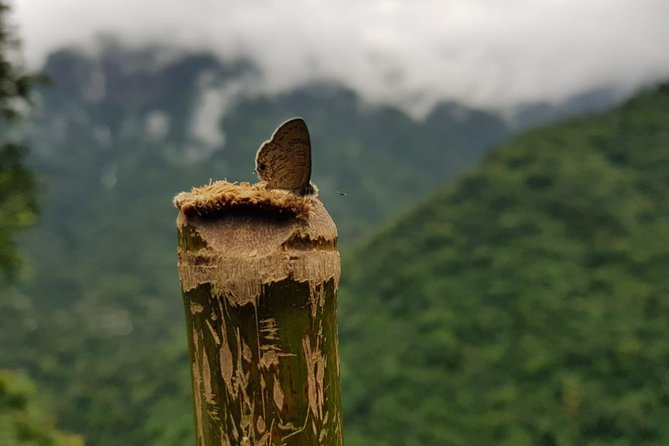 4D/3N Glimpse of Meghalaya - Good To Know