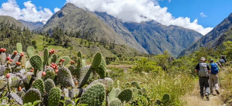 4d/3n Inca Trail to Machupicchu on the Ancestral Route - Guidance and Support Services