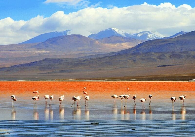 4D 3N PROGRAM SAN PEDRO DE ATACAMA – UYUNI – SEMI PRIVATE - Accommodation and Meals