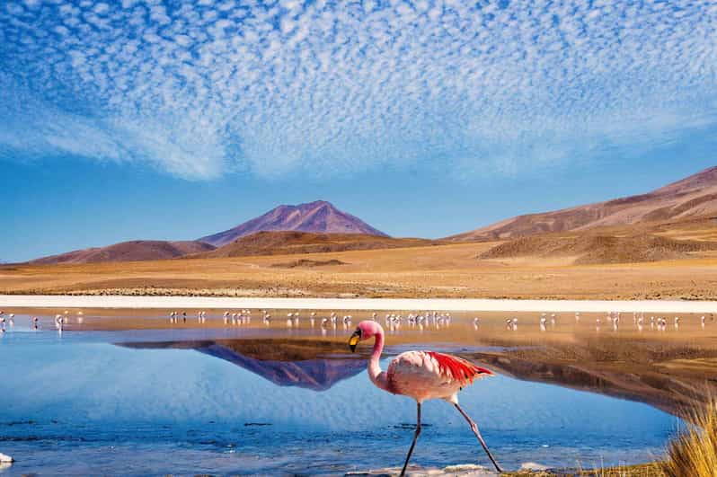 4D/3N SAN PEDRO DE ATACAMA-UYUNI (ROUND TRIP) SHARED SERVICE - Key Points