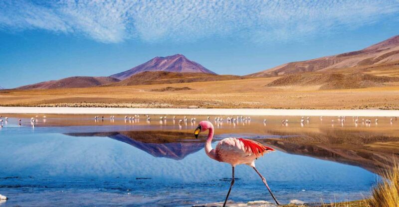 4D/3N SAN PEDRO DE ATACAMA-UYUNI (ROUND TRIP) SHARED SERVICE - Day 1 Sights